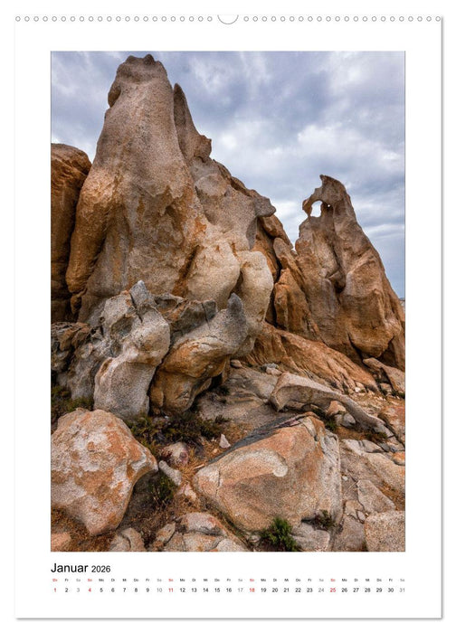 Skulpturen aus Wind und Wellen (CALVENDO Premium Wandkalender 2026)