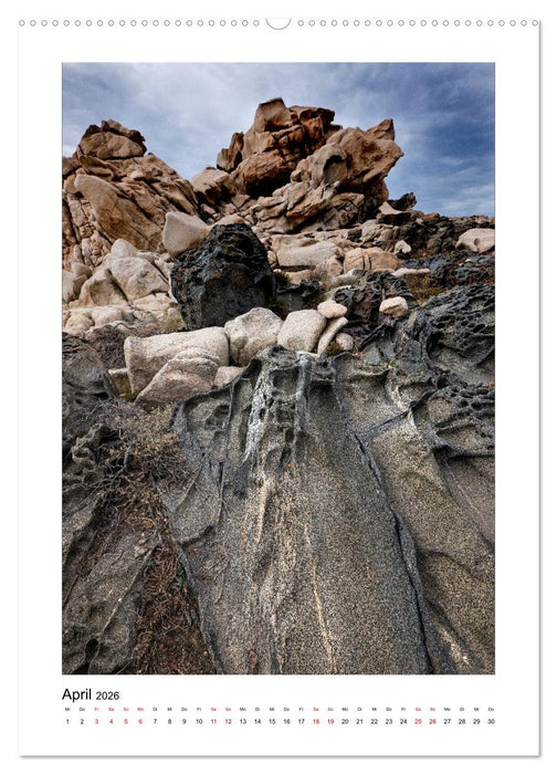 Skulpturen aus Wind und Wellen (CALVENDO Premium Wandkalender 2026)