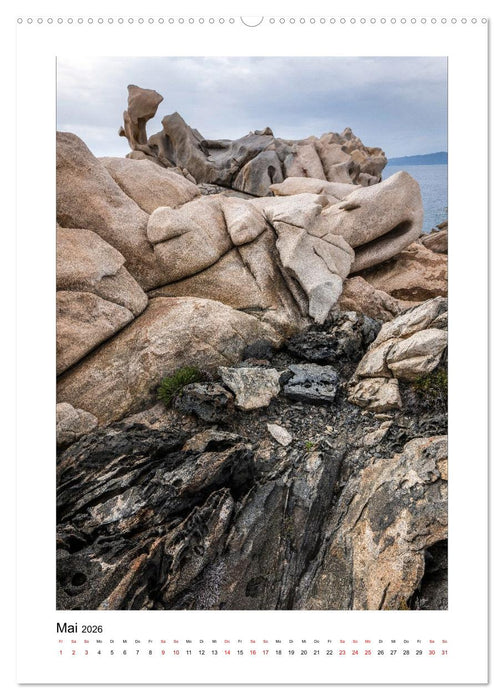 Skulpturen aus Wind und Wellen (CALVENDO Premium Wandkalender 2026)