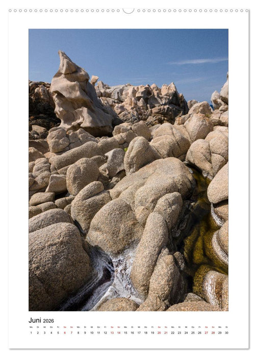 Skulpturen aus Wind und Wellen (CALVENDO Premium Wandkalender 2026)