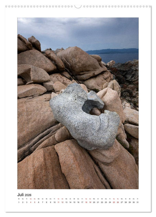 Skulpturen aus Wind und Wellen (CALVENDO Premium Wandkalender 2026)