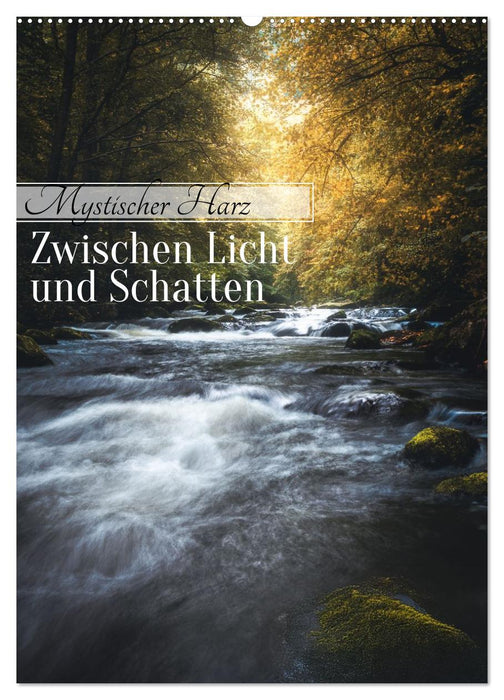 Mystischer Harz - Zwischen Licht und Schatten (CALVENDO Wandkalender 2026)