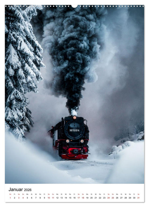 Mystischer Harz - Zwischen Licht und Schatten (CALVENDO Wandkalender 2026)