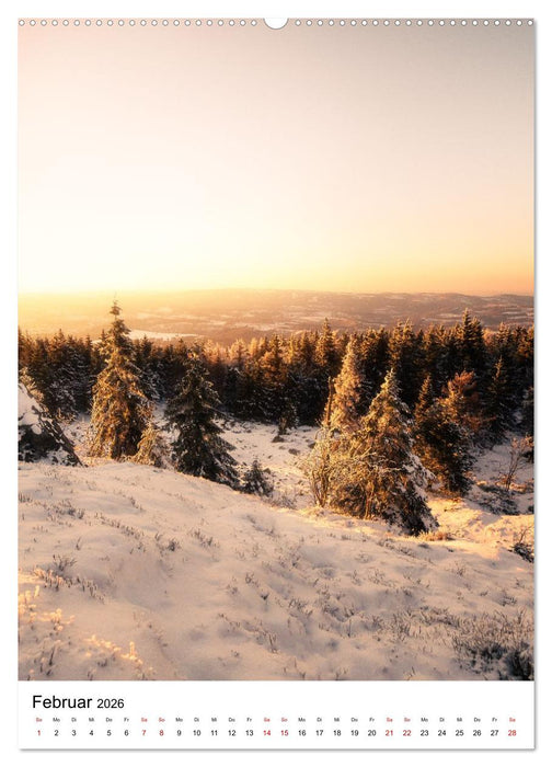 Mystischer Harz - Zwischen Licht und Schatten (CALVENDO Wandkalender 2026)