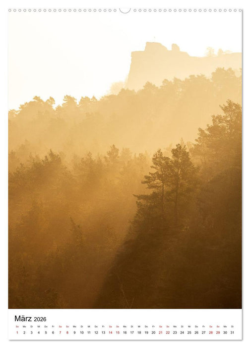 Mystischer Harz - Zwischen Licht und Schatten (CALVENDO Wandkalender 2026)