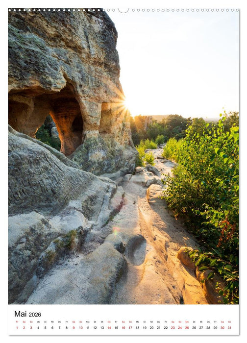 Mystischer Harz - Zwischen Licht und Schatten (CALVENDO Wandkalender 2026)