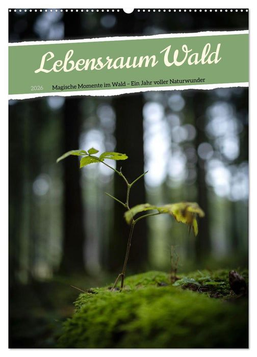 Lebensraum Wald (CALVENDO Wandkalender 2026)