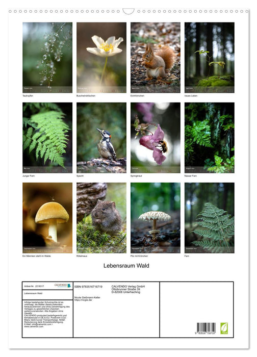 Lebensraum Wald (CALVENDO Wandkalender 2026)