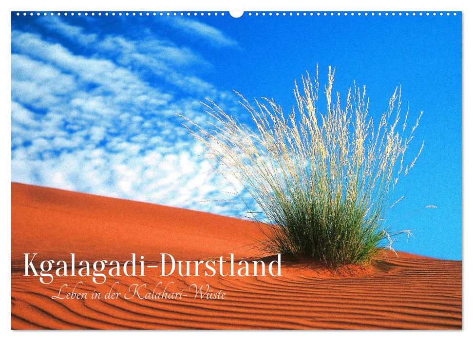 Kgalagadi-Durstland (CALVENDO Wandkalender 2026)
