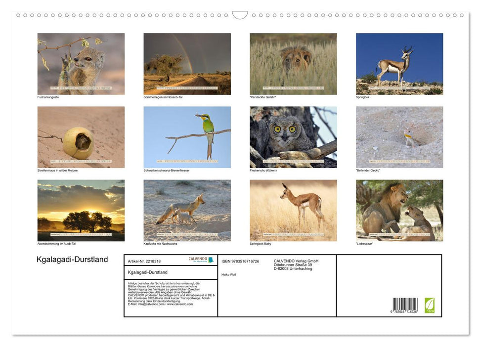 Kgalagadi-Durstland (CALVENDO Wandkalender 2026)