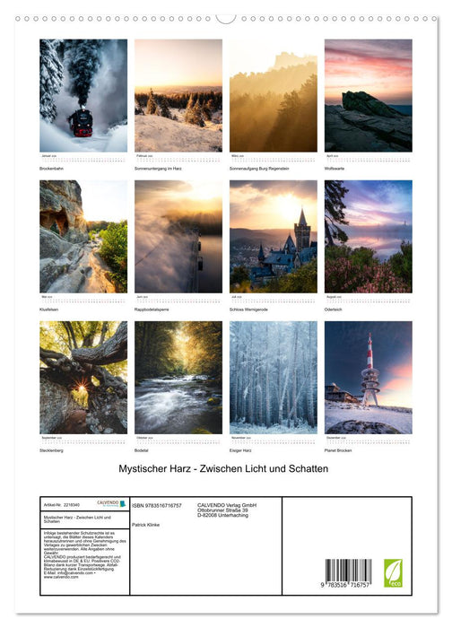 Mystischer Harz - Zwischen Licht und Schatten (CALVENDO Premium Wandkalender 2026)