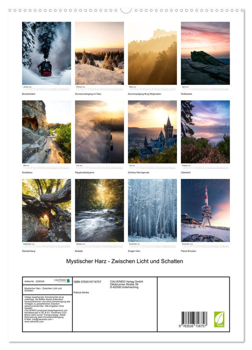 Mystischer Harz - Zwischen Licht und Schatten (CALVENDO Premium Wandkalender 2026)