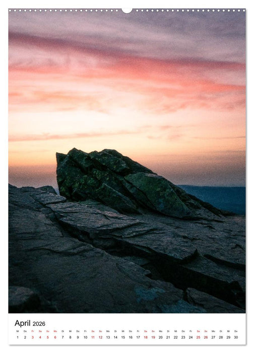 Mystischer Harz - Zwischen Licht und Schatten (CALVENDO Premium Wandkalender 2026)