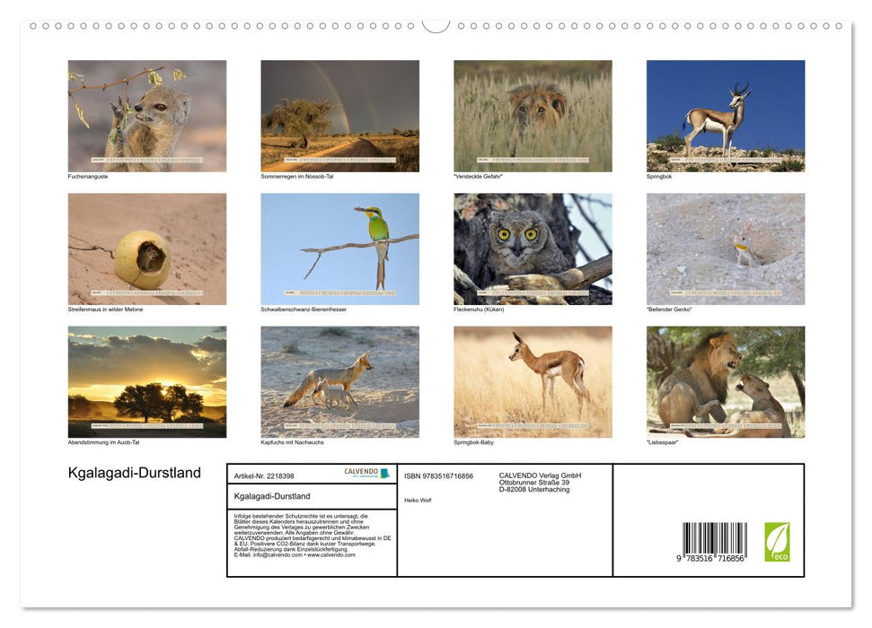 Kgalagadi-Durstland (CALVENDO Premium Wandkalender 2026)