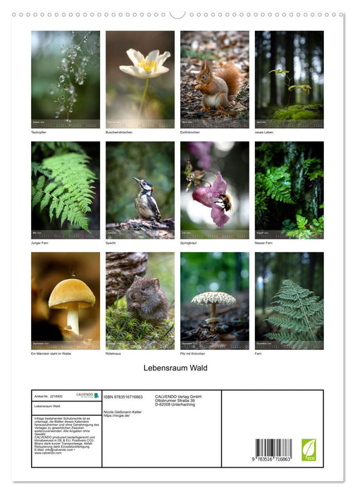 Lebensraum Wald (CALVENDO Premium Wandkalender 2026)