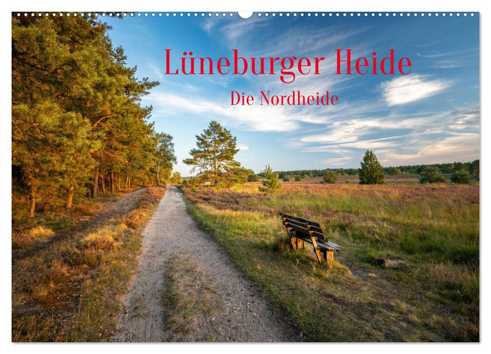 Lüneburger Heide: Die Nordheide (CALVENDO Wandkalender 2026)
