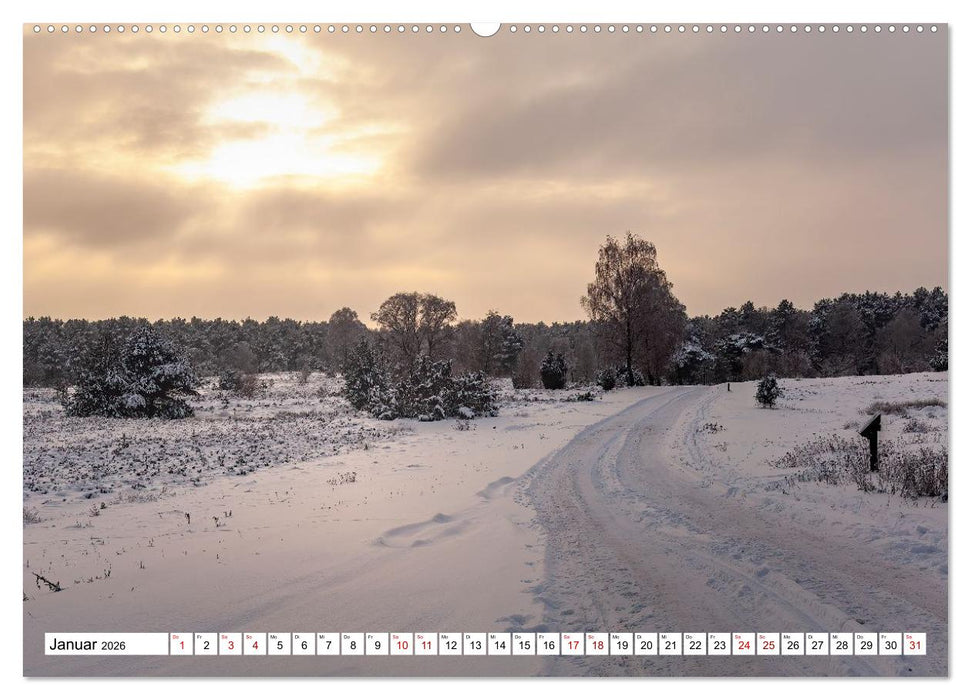 Lüneburger Heide: Die Nordheide (CALVENDO Wandkalender 2026)