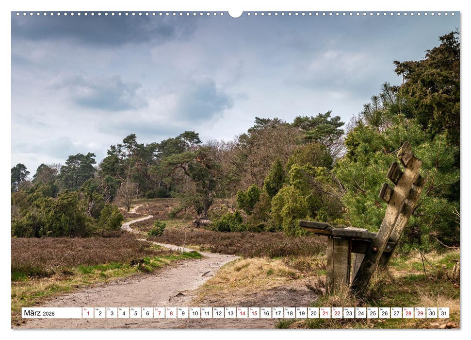 Lüneburger Heide: Die Nordheide (CALVENDO Wandkalender 2026)