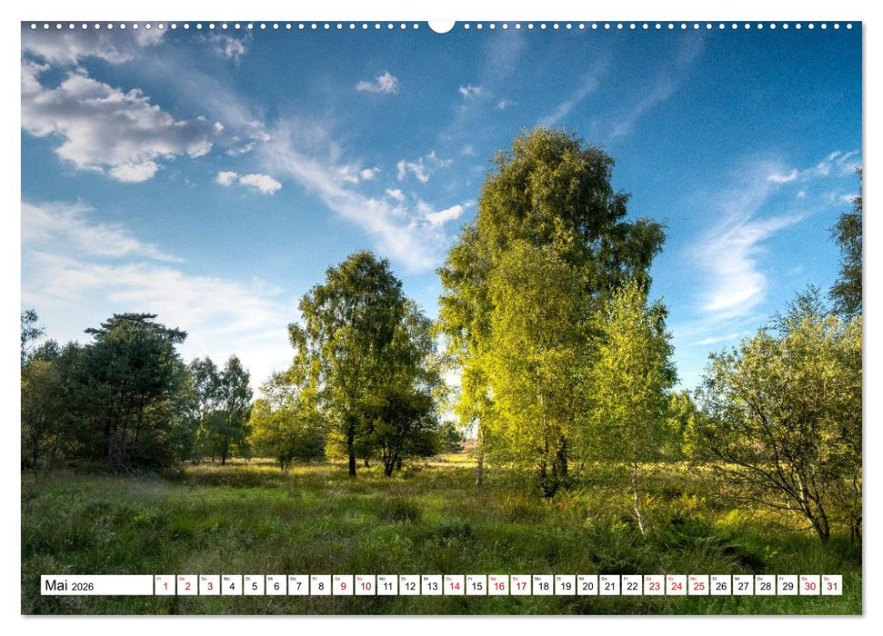 Lüneburger Heide: Die Nordheide (CALVENDO Wandkalender 2026)