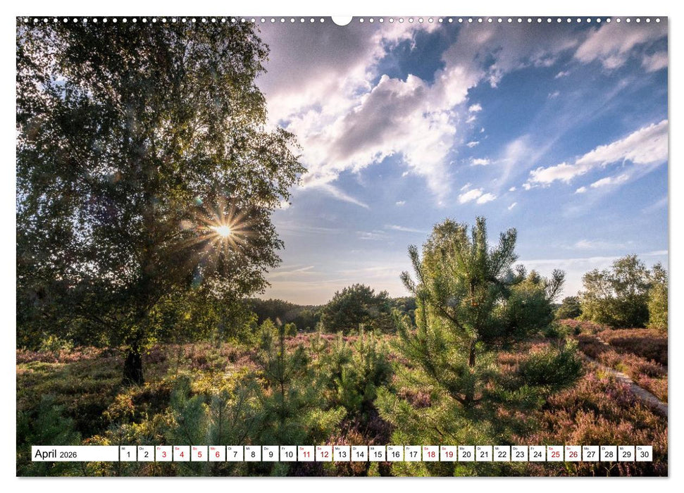 Lüneburger Heide: Die Nordheide (CALVENDO Premium Wandkalender 2026)