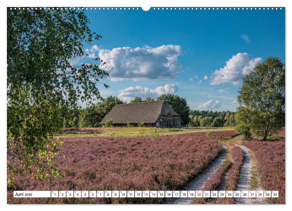Lüneburger Heide: Die Nordheide (CALVENDO Premium Wandkalender 2026)