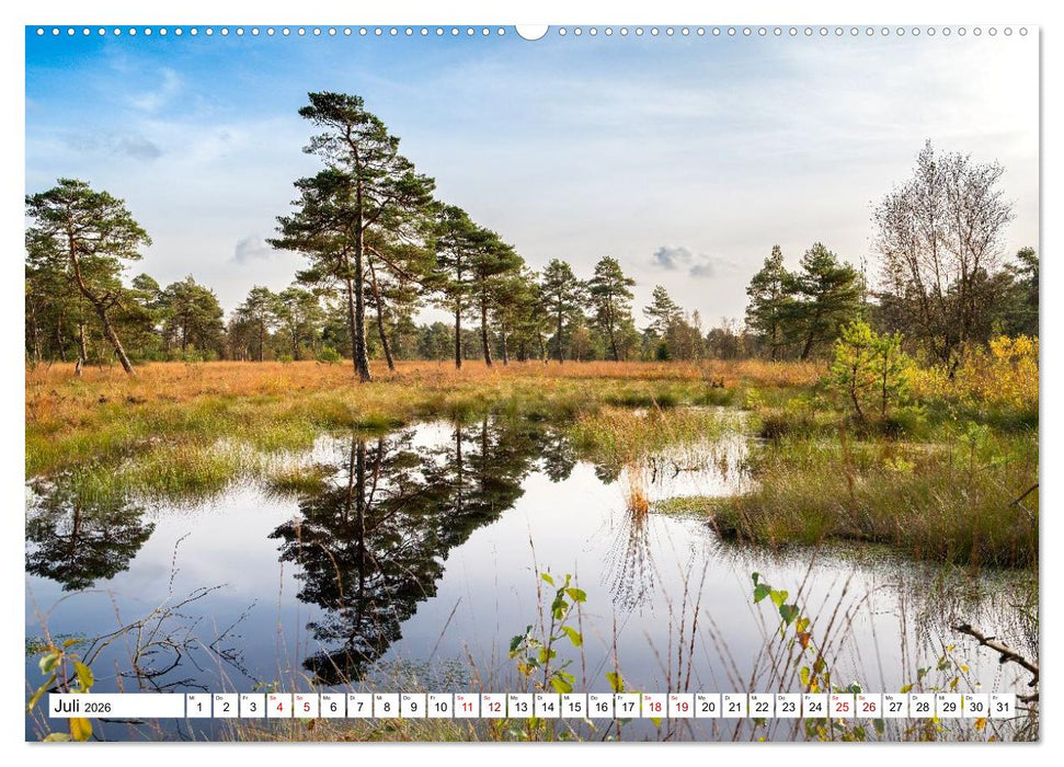 Lüneburger Heide: Die Nordheide (CALVENDO Premium Wandkalender 2026)