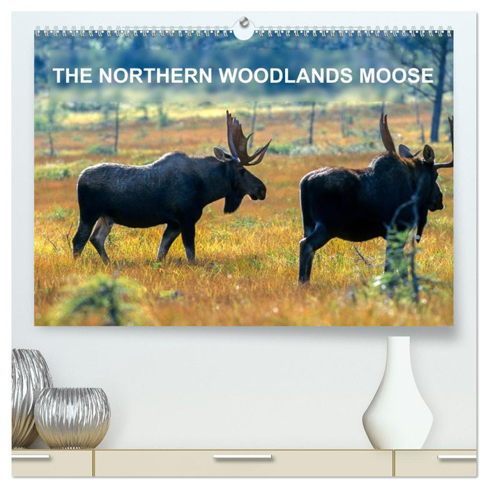 THE NORTHERN WOODLANDS MOOSE (CALVENDO Premium-Calendar 2026)