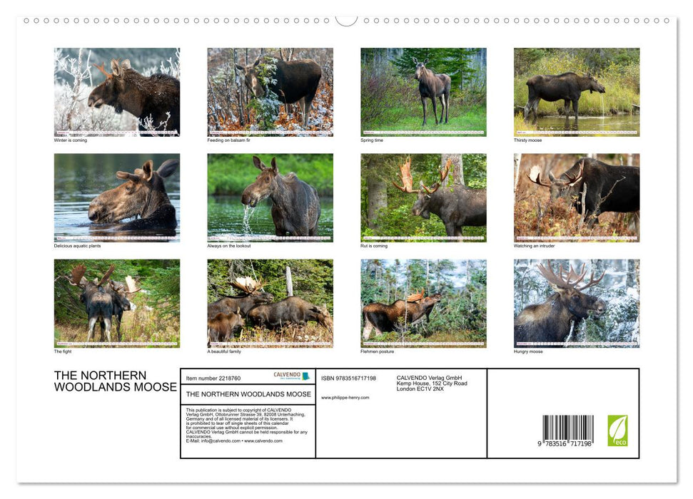 THE NORTHERN WOODLANDS MOOSE (CALVENDO Premium-Calendar 2026)