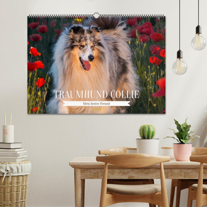 Traumhund Collie - Mein bester Freund (CALVENDO Wandkalender 2026)
