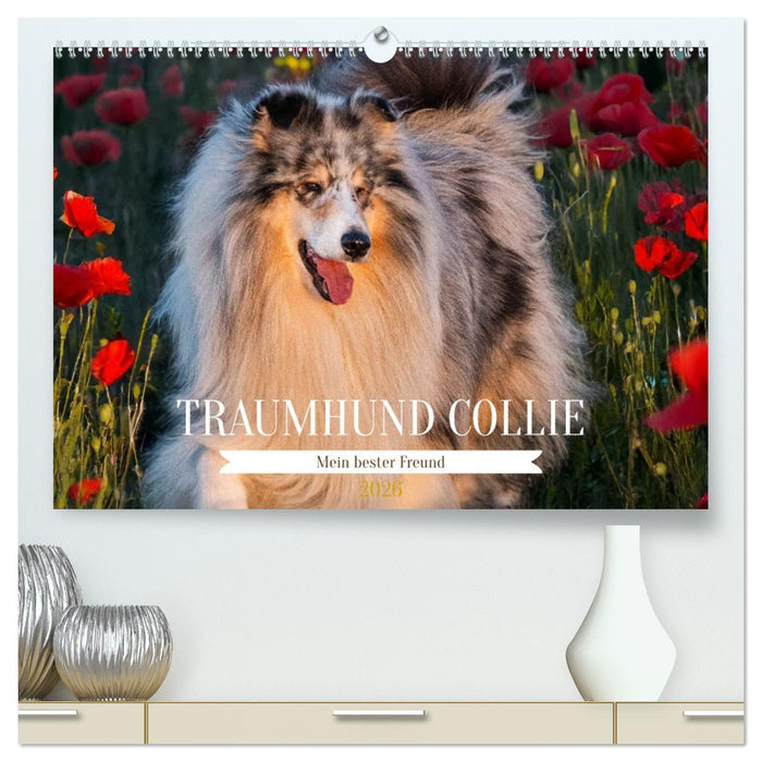 Traumhund Collie - Mein bester Freund (CALVENDO Premium Wandkalender 2026)