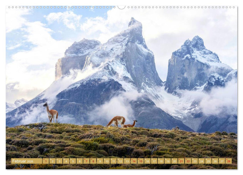 Patagonien - Naturwunder am Ende der Welt (CALVENDO Premium Wandkalender 2026)