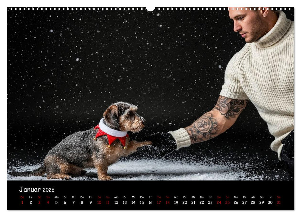 Coole Typen - Rauhaardackel (CALVENDO Premium Wandkalender 2026)