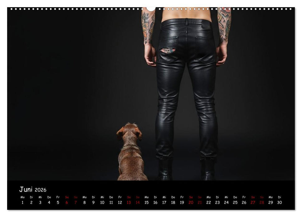 Coole Typen - Rauhaardackel (CALVENDO Premium Wandkalender 2026)