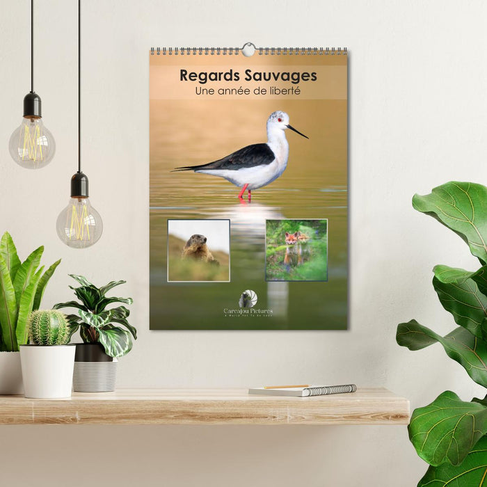 Regards sauvages - Une année de liberté (CALVENDO Calendrier mensuel 2026)