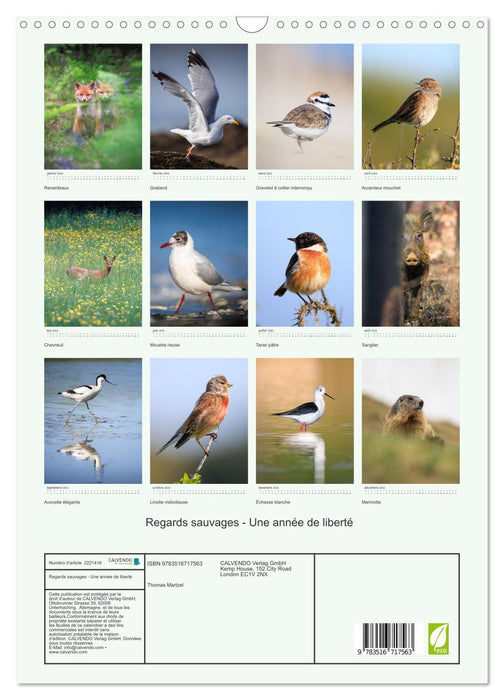 Regards sauvages - Une année de liberté (CALVENDO Calendrier mensuel 2026)