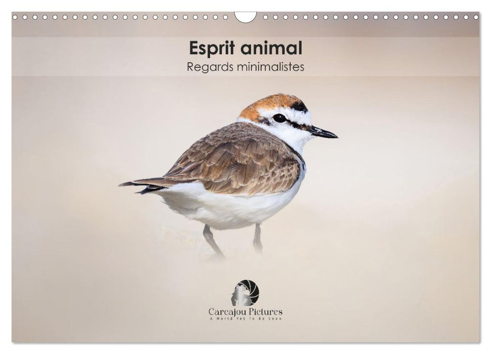 Esprit animal - Regards minimalistes (CALVENDO Calendrier mensuel 2026)