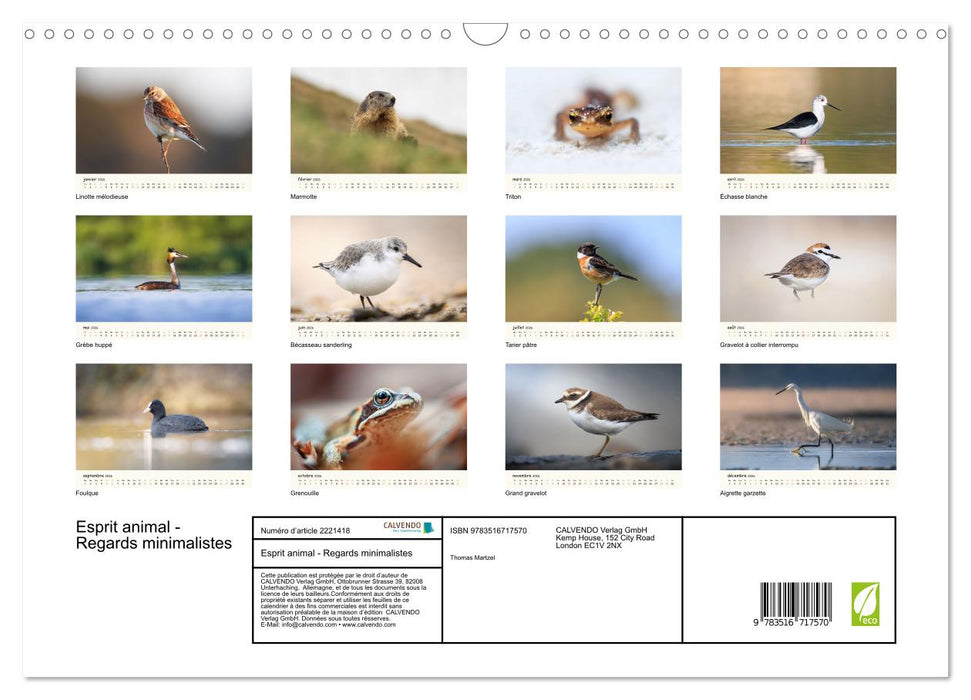 Esprit animal - Regards minimalistes (CALVENDO Calendrier mensuel 2026)