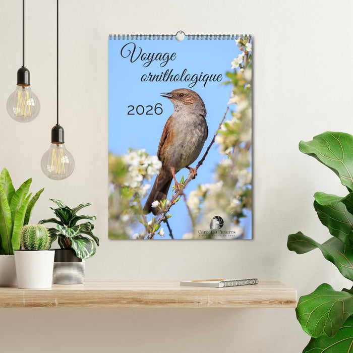 Voyage ornithologique (CALVENDO Calendrier mensuel 2026)