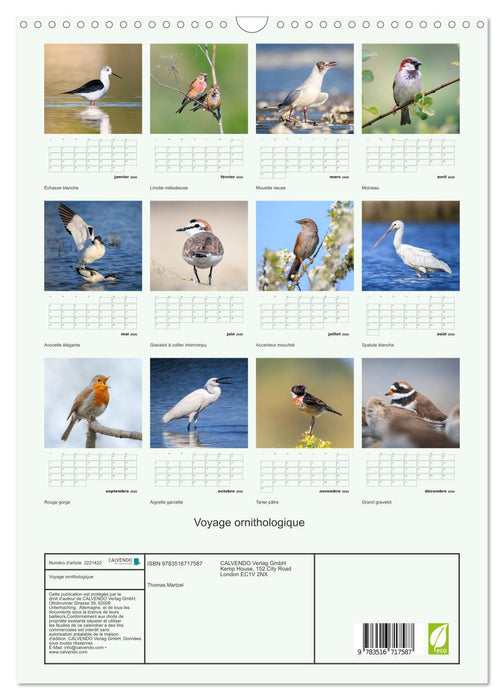 Voyage ornithologique (CALVENDO Calendrier mensuel 2026)
