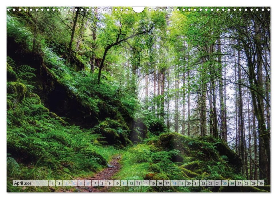 Mein Schottland - Landschaften (CALVENDO Wandkalender 2026)