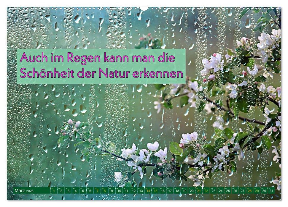 Regenmomente – Sprüche für graue Tage (CALVENDO Premium Wandkalender 2026)
