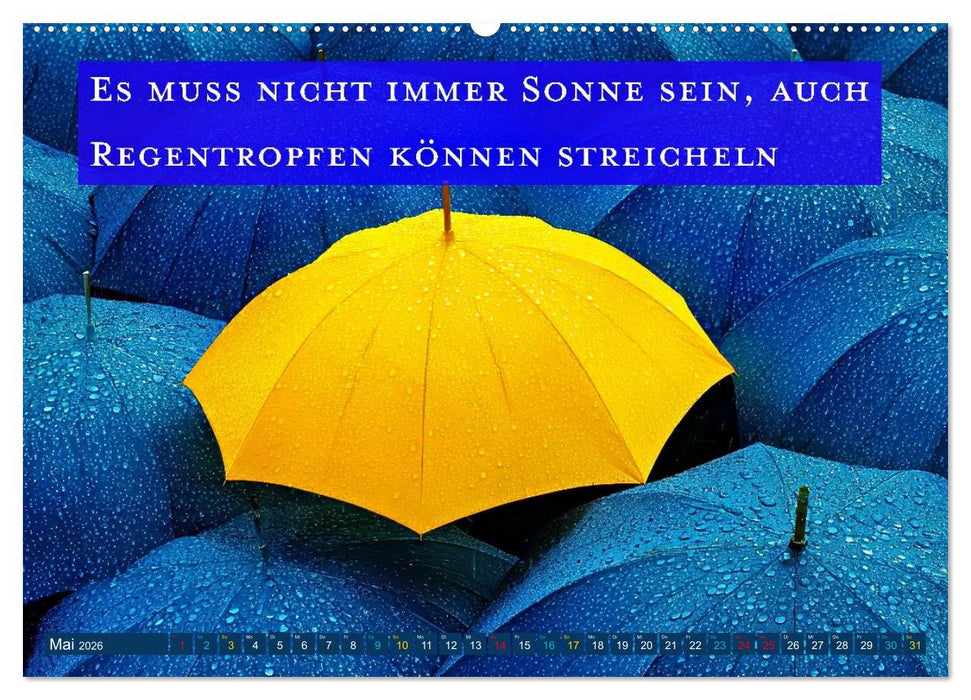 Regenmomente – Sprüche für graue Tage (CALVENDO Premium Wandkalender 2026)