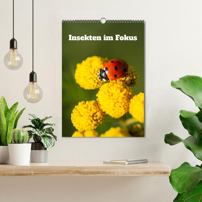Insekten im Fokus (CALVENDO Wandkalender 2026)