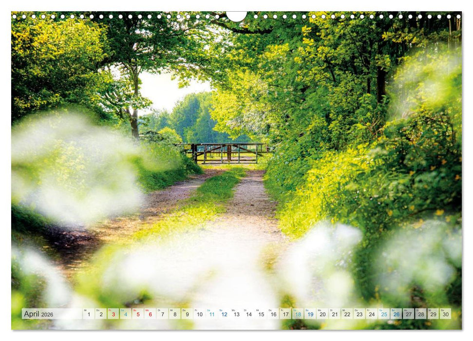 Mein Norderstedt (CALVENDO Wandkalender 2026)