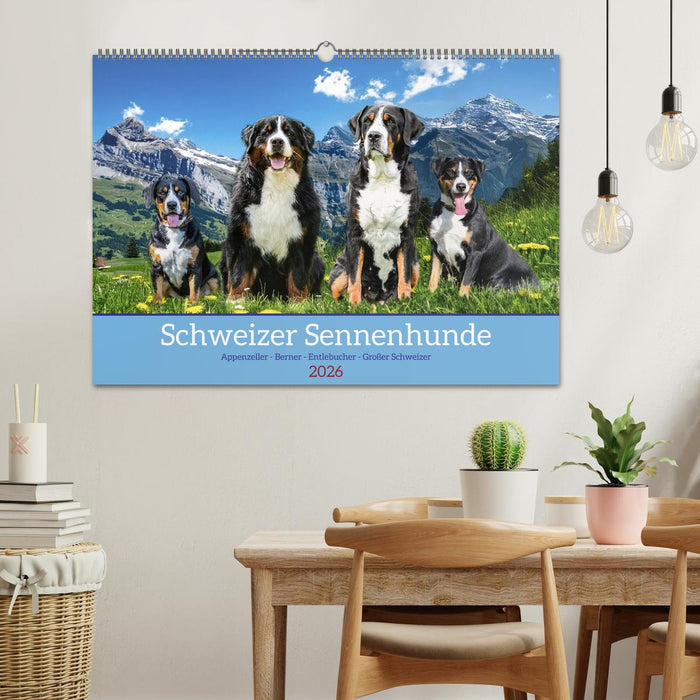 Schweizer Sennenhunde - Appenzeller - Berner - Entlebucher - Große Schweizer (CALVENDO Wandkalender 2026)
