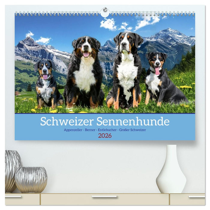Schweizer Sennenhunde - Appenzeller - Berner - Entlebucher - Große Schweizer (CALVENDO Premium Wandkalender 2026)