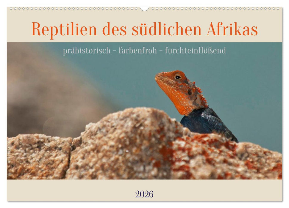 Reptilien des südlichen Afrikas (CALVENDO Wandkalender 2026)