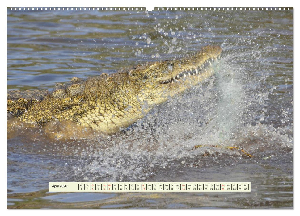 Reptilien des südlichen Afrikas (CALVENDO Wandkalender 2026)