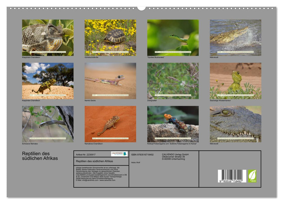 Reptilien des südlichen Afrikas (CALVENDO Premium Wandkalender 2026)