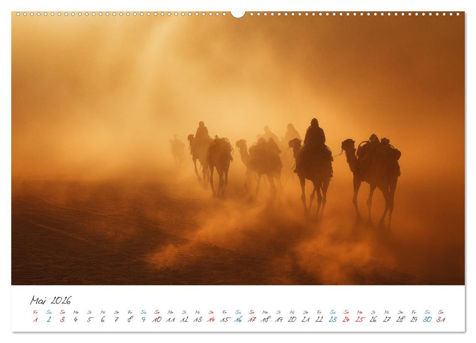 Naturgewalten und stille Wunder (CALVENDO Premium Wandkalender 2026)